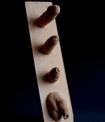 funny phallic symbols 5bfc3286f0b59.jpg