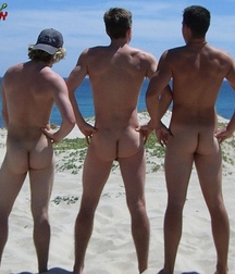 three gorgeous asses 5c000e1b67d6c.jpg