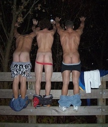 three gorgeous asses 5c000e20d454b.jpg