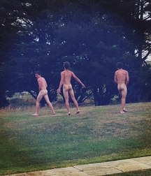three gorgeous asses 5c000e22171d1.jpg