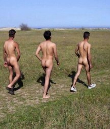 three gorgeous asses 5c000e300e43a.jpg
