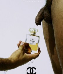 funny photographs 5c06ad89efc1d.jpg