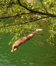 dive naked 5c160055591aa.jpg