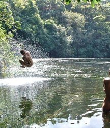 dive naked 5c160060dece0.jpg