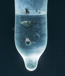 artistic condom 5c17a21f6549f.jpg