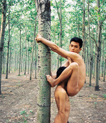 very funny guys 5c17a28d9659e.jpg