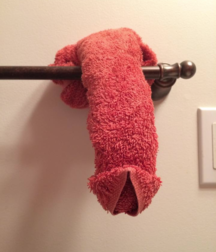 funny pictures 5c232a3d4a290.png