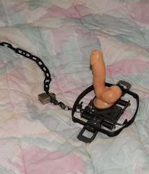 funny pictures 5c232a41152cf.jpg