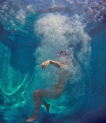 underwater photographs 5c31f8b89387a.jpg