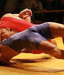 young wrestlers 5c34e6771d3e9.jpg
