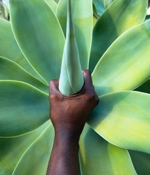 the sensual hand 5c34e79bdde29.jpg