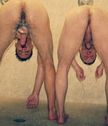 the ass and the hole 5c3b7af0848d6.jpg