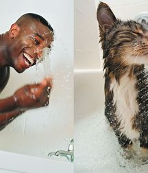 strange and funny photographs 5c417746e0831.jpg