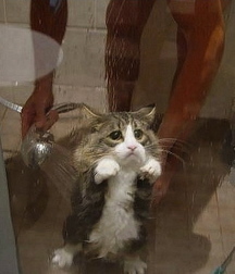 strange and funny photographs