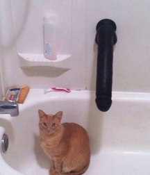 strange and funny photographs 5c417763bb51e.jpg