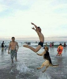 funny and sexy 5c434916c02f5.jpg
