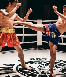 the new young gladiators 5c449d137f9e6.jpg