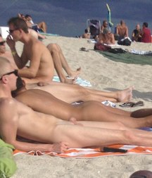 lie down to sunbathe 5c474b581c912.jpg