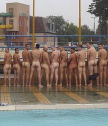 many, many asses 5c4c17c3e0240.jpg