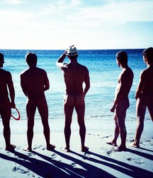 many, many asses 5c4c17d60d265.jpg