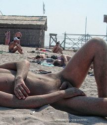 in the nudist beaches 5c570de3238e4.jpg