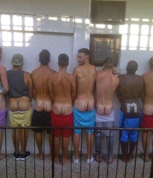 all the asses of the world 5c63dbc9ca5a9.jpg