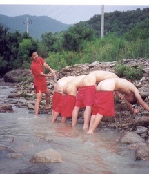 all the asses of the world 5c63dbcc76473.jpg