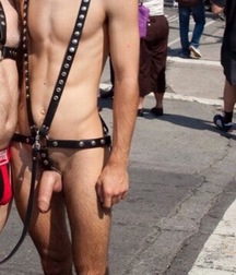 they prefer to be naked 5c6c2f43e4f68.jpg