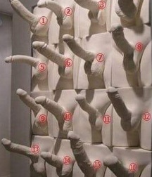 funny and strange 5c6c3065e1a1c.jpg