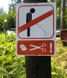 funny and strange 5c6c3074eb79b.jpg