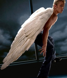 angelic boys 5c86d67159386.jpg