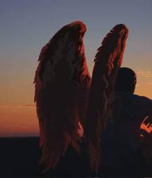 angelic boys 5c86d672b84af.jpg