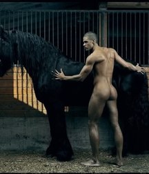 boys and horses 5c969d1ed4f39.jpg