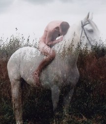 boys and horses 5c969d2027f92.jpg
