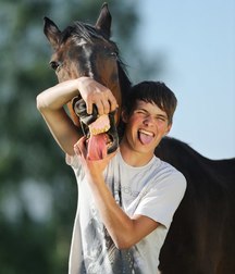 boys and horses
