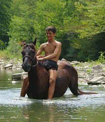 boys and horses 5c969d3428544.jpg