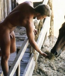 boys and horses 5c969d36c65a9.jpg