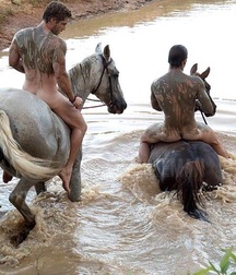boys and horses 5c969d3b320d6.jpg