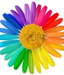 rainbow 5c969d82d8ec3.jpg