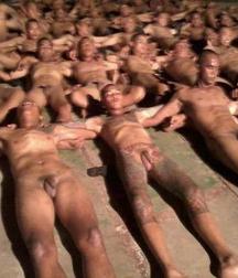 all naked 5c9f169c07003.jpg