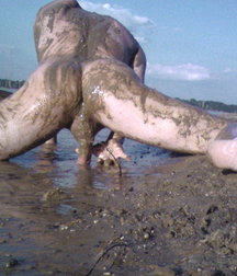 play with mud 5ca241d4db684.jpg