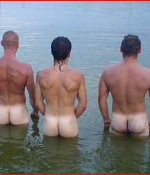 wet asses 5ca5016a5ea8e.jpg
