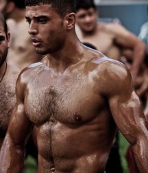 the sexy Turkish fight 5cb09291ac2ff.jpg