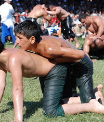 the sexy Turkish fight 5cb092931e17b.jpg