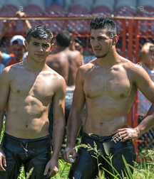 the sexy Turkish fight 5cb092a08993c.jpg