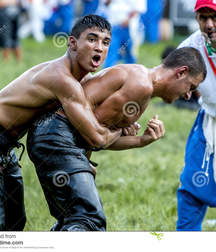 the sexy Turkish fight 5cb092abb4c90.jpg