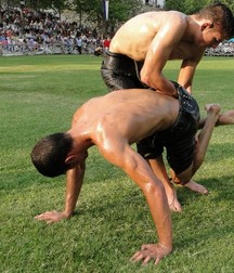 the sexy Turkish fight 5cb092be23fcc.jpg