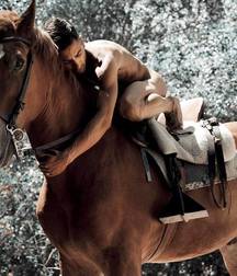 take a ride with the horse 5cb2c8a3246fa.jpg