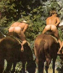 take a ride with the horse 5cb2c8ae49e19.jpg