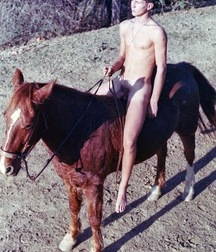 take a ride with the horse 5cb2c8af79848.jpg
